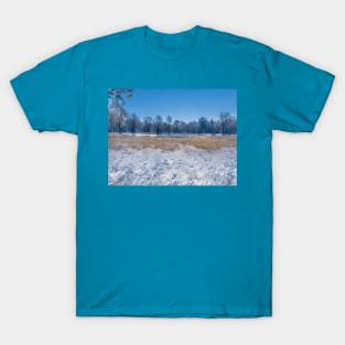 Winter scene T-Shirt